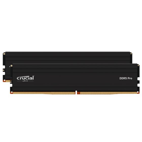 Pro CP2K16G56C46U5 módulo de memoria 32 GB 2 x 16 GB DDR5 288-pin DIMM