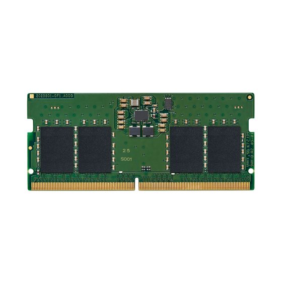 KCP556SS6-8 módulo de memoria 8 GB 1 x 8 GB DDR5 5600 MT/s