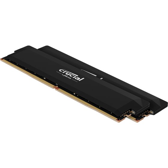 Pro CP2K16G60C36U5B módulo de memoria 32 GB 2 x 16 GB DDR5 ECC