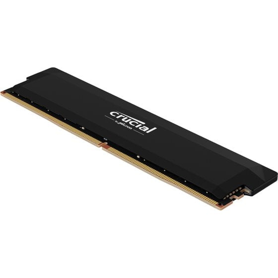 Pro CP16G60C36U5B módulo de memoria 16 GB DDR5 288-pin DIMM ECC