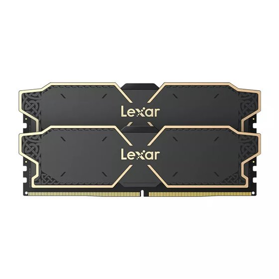 LD5U16G60C38LG-RGD módulo de memoria 32 GB 2 x 16 GB DDR5
