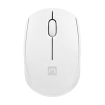 STORK ratón Hogar Ambidextro RF Wireless + USB Type-A Óptico 1600 DPI