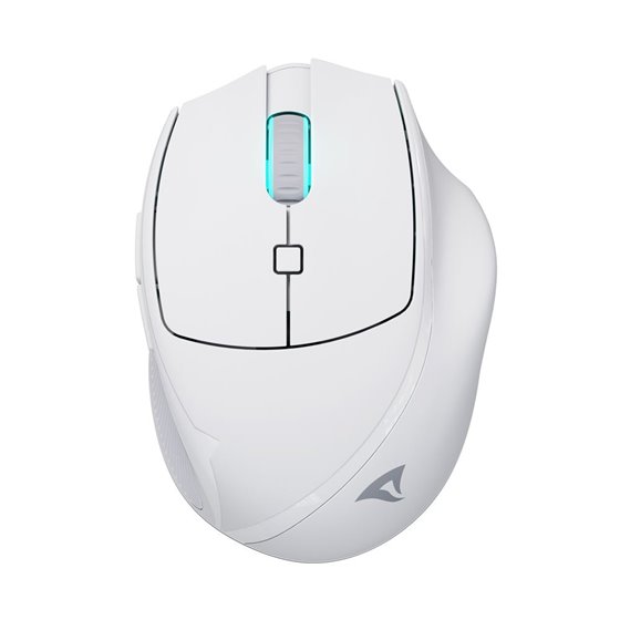 OfficePal M25W ratón Juego mano derecha RF Wireless + USB Type-C Óptico 4000 DPI
