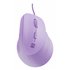 Crake 2 Pro ratón Universal mano derecha USB tipo A Óptico 12800 DPI