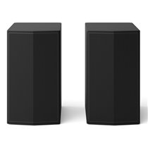 SPT8-S De 1 vía Negro Inalámbrico 100 W