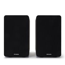 SP-A100 altavoz Negro Alámbrico 140 W