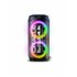RB-SK230 altavoz portátil o de fiesta Altavoz portátil estéreo Negro 160 W