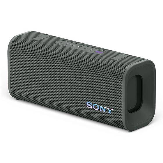 SRSULT30H Altavoz portátil estéreo Gris