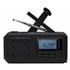 BTEC-RDS670-B altavoz portátil o de fiesta Altavoz monofónico portátil Negro