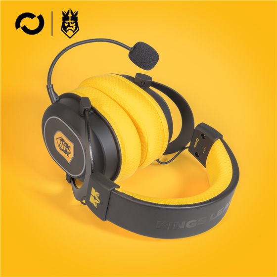 KL2001 auricular y casco Auriculares Diadema Juego