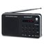 Portable digital AM/FM radio silver Portátil Analógica Negro, Plata