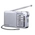 RF-P150DEG Portátil Analógica Plata