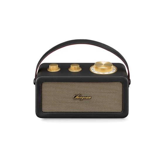 RA-101 Portátil Analógica Negro, Oro