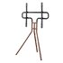 Easel Design 190,5 cm (75") Negro, Nuez
