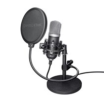 21753 micrófono Negro Micrófono de estudio