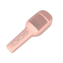 KIDSFESTIVAL2PK micrófono Rosa Micrófono para karaoke