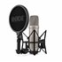 NT1-A 5th Gen Plata Micrófono de estudio