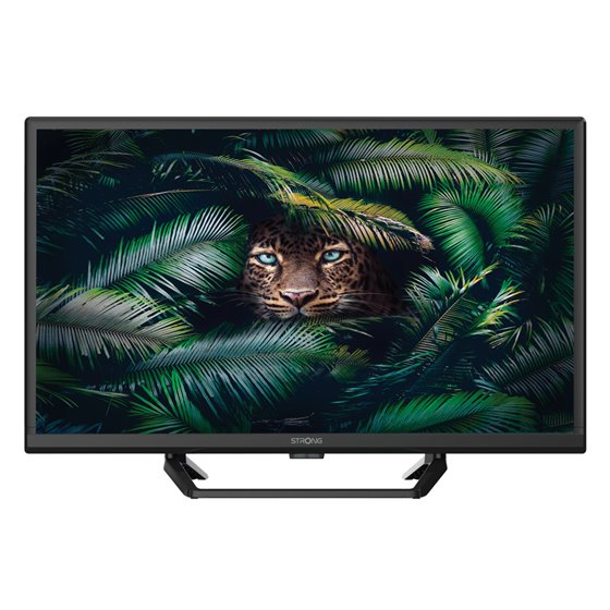 SRT 24HE4023C 61 cm (24") HD Negro 180 cd / m²