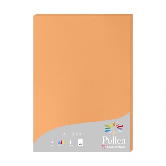 Pollen papel para impresora de inyección de tinta A4 (210x297 mm) 25 hojas Naranja