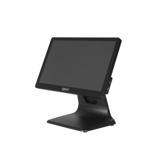 TPV AIO 15,6" 16:9 N100 8+256GB WiFi W11Pro