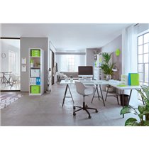 Bandeja organizadora Leitz MyBox WOW