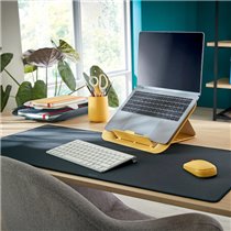 Ratón inalámbrico Leitz Cosy