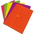 Clasificadores 13 Bolsas  PP Translúcido Liso Broche Folio Colores Surtidos Fluorgraf Grafoplás