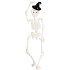 Set Figuras Gel     Esqueleto Halloween