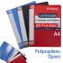 Carpeta Con Fundas  PP Translúcido Semirígido A4 20 Fundas Colores Surtidos Kathay Kathay