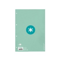 Recambio liderpapel a4 antartik 80 hojas 90g/m2 cuadro 5 mm 4 taladros 1 banda marco color menta
