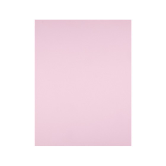 Cartulina liderpapel 50x65 cm 180g/m2 rosa paquete de 25