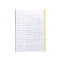 Recambio liderpapel a4 100 hojas 100g/m2 cuadro 5 mm 4 taladros bandas de 5 colores antartik