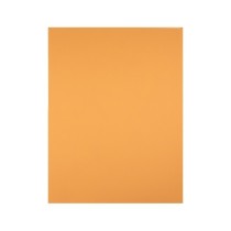 Cartulina liderpapel 50x65 cm 180 gr avellana unidad