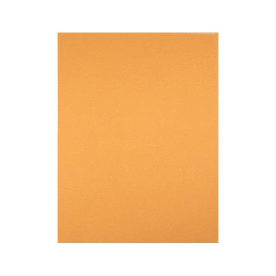 Cartulina liderpapel 50x65 cm 240 g/m2 avellana
