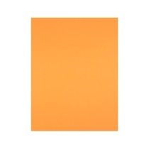 Cartulina liderpapel 50x65 cm 240 g/m2 nectarina