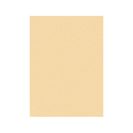 Fieltro liderpapel 50x70cm color carne 160g/m2