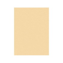 Fieltro liderpapel 50x70cm color carne 160g/m2