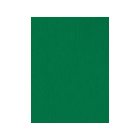 Fieltro liderpapel 50x70cm verde 160g/m2
