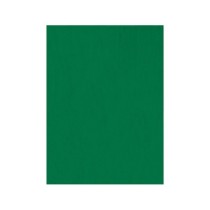 Fieltro liderpapel 50x70cm verde 160g/m2