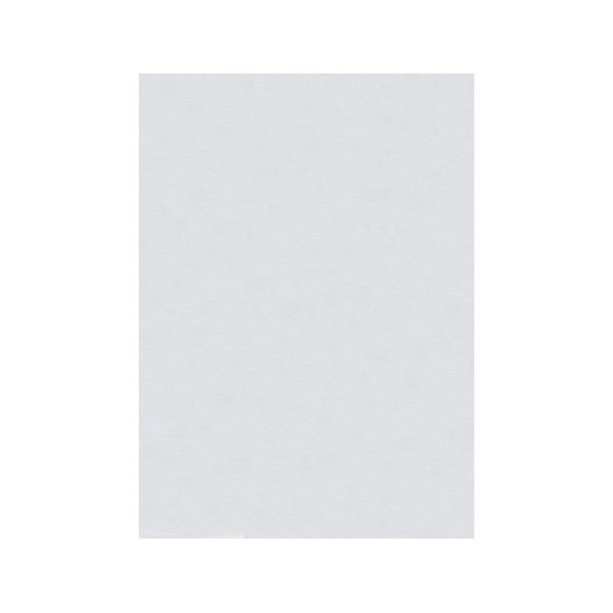 Fieltro liderpapel 50x70cm blanco 160g/m2