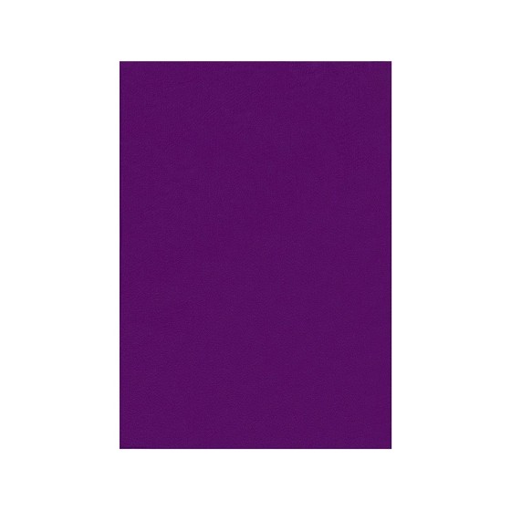 Fieltro liderpapel 50x70cm violeta 160g/m2