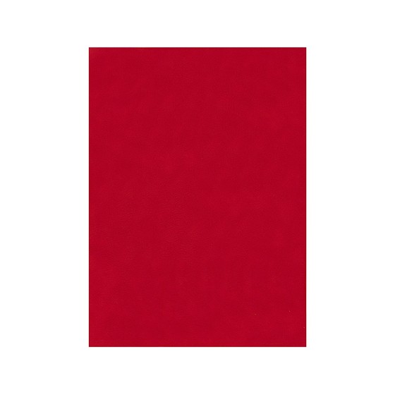 Fieltro liderpapel 50x70cm rojo 160g/m2