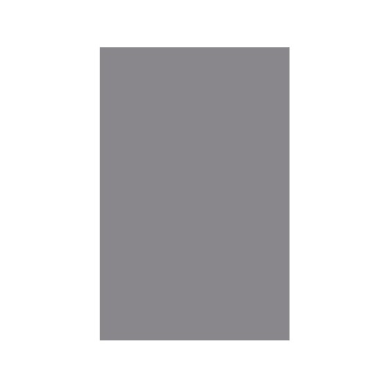 Cartulina liderpapel 50x65 cm gris 240 gr unidad
