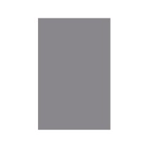 Cartulina liderpapel 50x65 cm gris 240 gr unidad