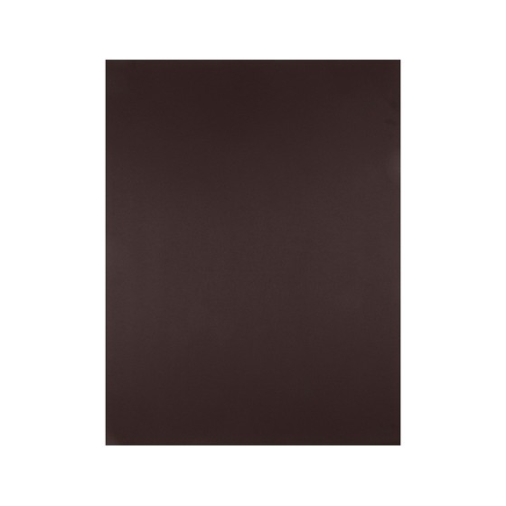 Cartulina liderpapel 50x65 cm marron oscuro 240g unidad