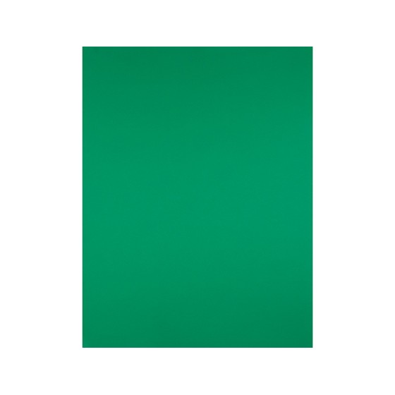Cartulina liderpapel 50x65 cm 240g/m2 verde navidad
