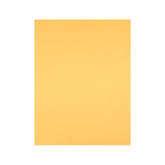 Cartulina liderpapel 50x65 cm oro 240 gr unidad