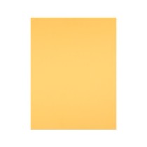 Cartulina liderpapel 50x65 cm oro 240 gr unidad