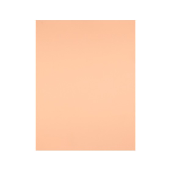 Cartulina liderpapel 50x65 cm 240g/m2 sepia