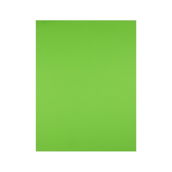 Cartulina liderpapel 50x65 cm 240g/m2 verde hierba